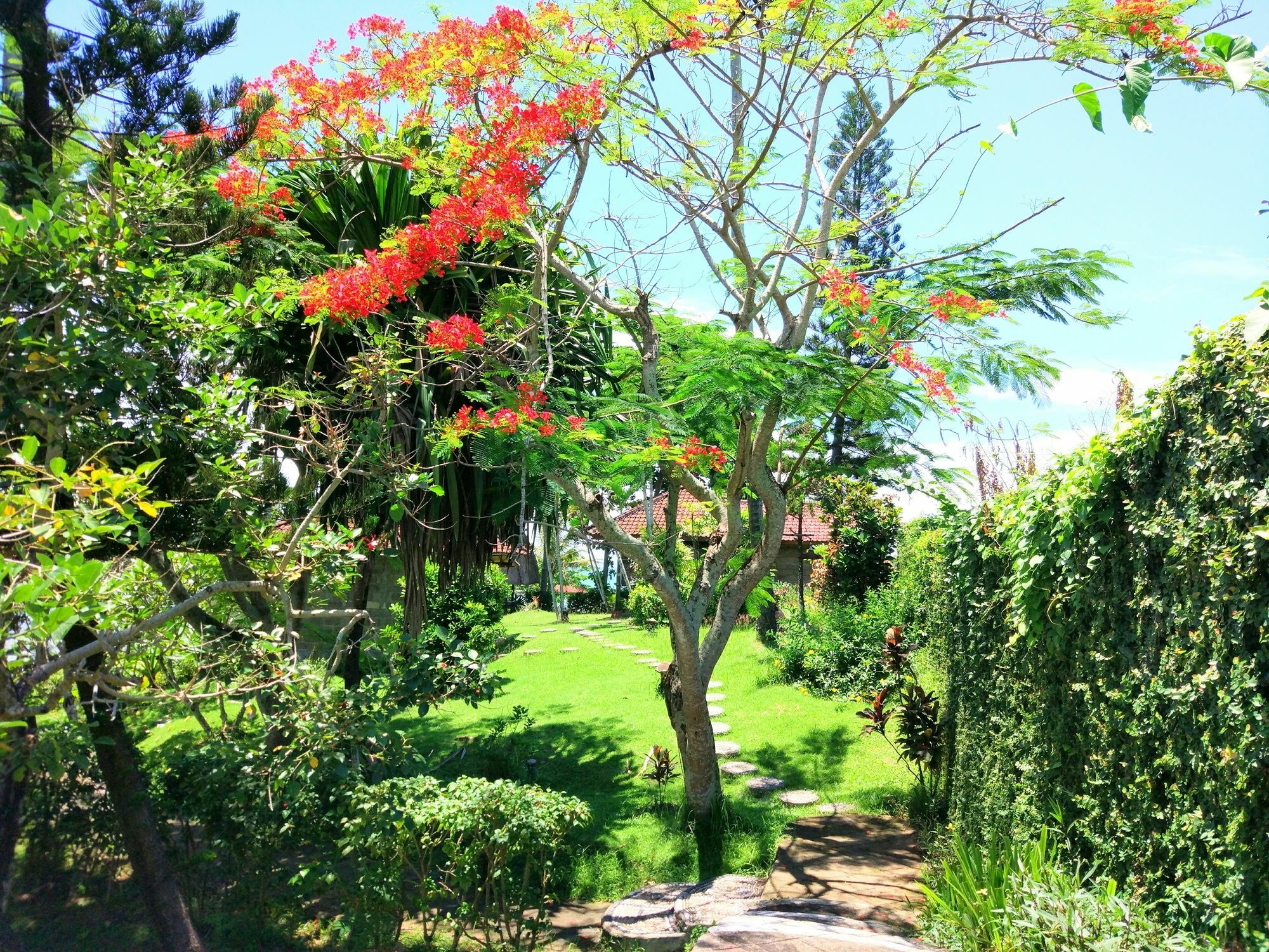 Gajah Mina Beach Resort Selemadeg  Exteriör bild