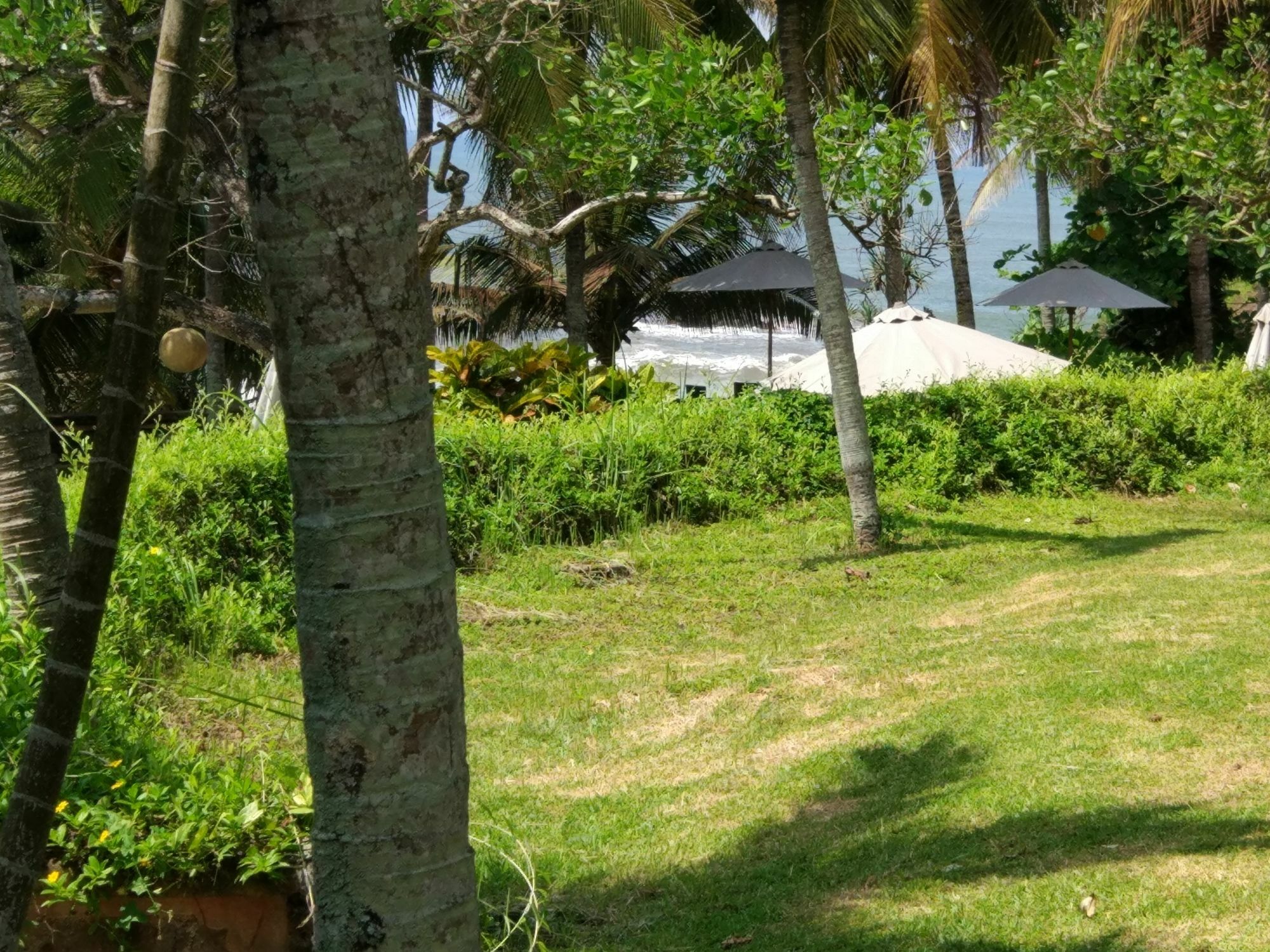 Gajah Mina Beach Resort Selemadeg  Exteriör bild