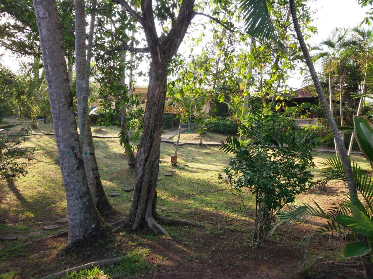 Gajah Mina Beach Resort Selemadeg  Exteriör bild